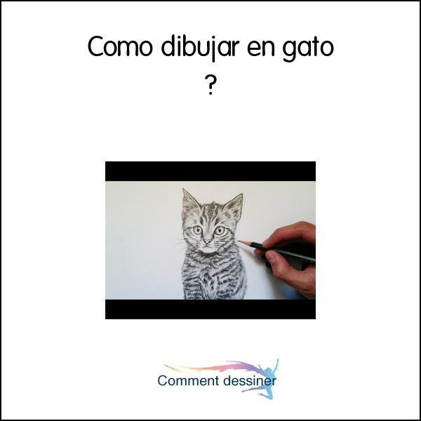 Como dibujar en gato